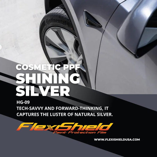 Shining Silver HG-09